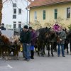 Blagoslov konj 2012 - 013